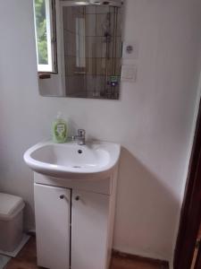 a bathroom with a white sink and a mirror at Pensjonat agroturystyczny Sosnówka - KOSARZYN in Kosarzyn +37 photos