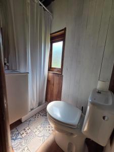 a bathroom with a white toilet and a window at camping los pradones in Cudillero