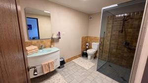 a bathroom with a shower and a sink and a toilet at Ēmužas in Dārte