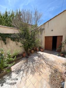 a building with a bunch of potted plants in front of it at Maison moderne Parking &Jardin in Narbonne