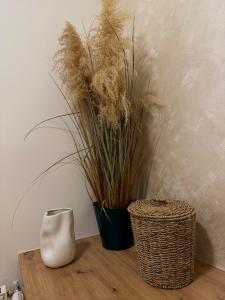 two vases sitting on a table with some plants at Penzion Tlustá kachna in Chrudim