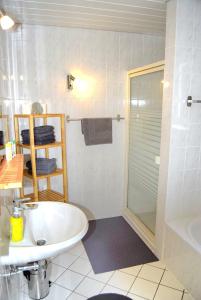 a bathroom with a toilet and a sink and a shower at Zaumseil, Axel Fe-App "unten" in Schönberg