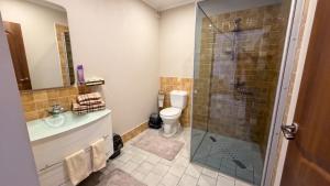 a bathroom with a shower and a toilet and a sink at Ēmužas in Dārte +22 photos
