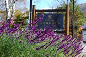 a bunch of purple flowers in front of a sign at Nakao Kogen Hotel Kazaguruma in Takayama +36 photos