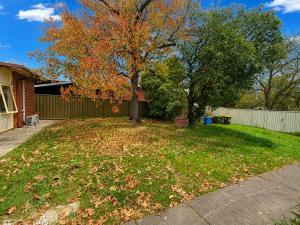 a yard with a tree with leaves on the grass at Box Hill Student Accommodation and Rooming House in Box Hill