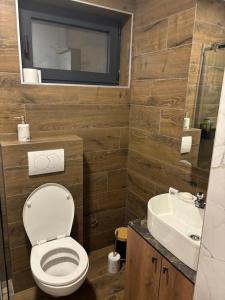 a bathroom with a toilet and a sink at Zelena reka 3 in Simici +9 photos