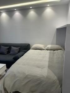 a bedroom with a large bed and a couch at Studio du Lac in Créteil