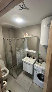 a bathroom with a shower and a sink and a toilet at Eirene Residence in Vrnjačka Banja