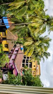 a group of palm trees in front of a building at The Palm Retreat Luxe 1bhk Near Thivim Station in Advolpale