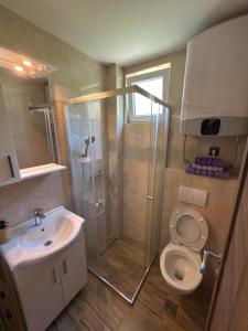 a bathroom with a shower and a toilet and a sink at Alexandra in Prijevor +19 photos