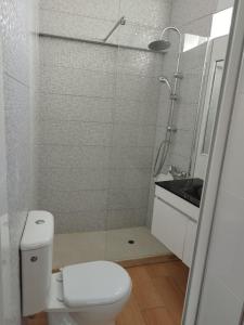 a bathroom with a shower and a toilet and a sink at Casa Bela in Sagres +10 photos
