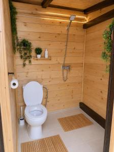 a bathroom with a toilet in a wooden wall at Bulamac Luxury Glamping in Vama Veche +4 photos