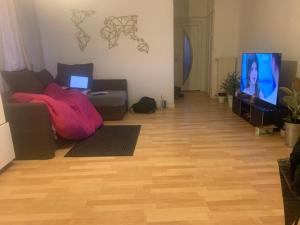 a living room with a couch and a tv at Köpenick spree 1 bed room house in Berlin