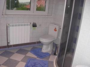 a bathroom with a toilet and two blue mats at Agroturystyka u Jasienka in Mrukowa