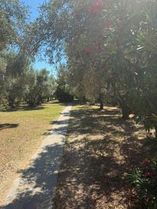 a path in a park with trees and grass at Irinis Cottage in Kala Nera