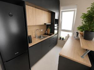 a kitchen with a black refrigerator and a sink at LouAdria Apartments in Đenovići +3 photos