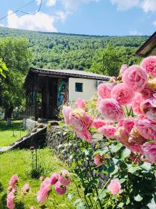 a bunch of pink roses in front of a building at Resort Shareula in K'veda Ghvardia