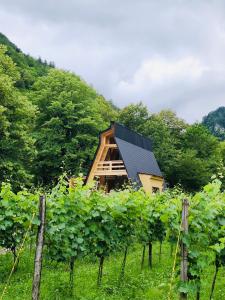 a house on top of a hill with vines at Resort Shareula in K'veda Ghvardia