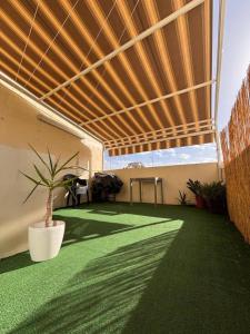 a room with a potted plant on a green floor at Private Room and Own Kitchen Steps to Beach & Nightlife in Sliema