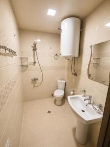 a bathroom with a toilet and a sink at Eka's guest house in Mestia