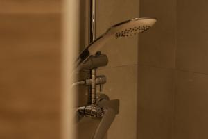 a shower with a shower head in a bathroom at Chryso Boutique Guesthouse in Chrysoupolis