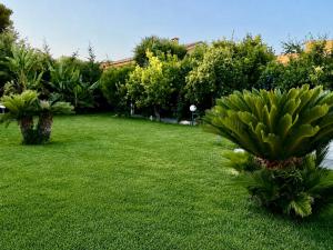 a yard with green grass and palm trees and bushes at La Rosa dei Templi in Agrigento +72 photos