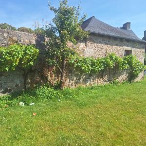 a stone wall with a tree next to a building at Les Roches Blanches Emplacements tente, caravane, camping-car in Guenroc