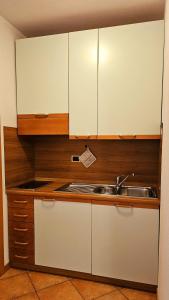 a kitchen with white cabinets and a sink at Baita dei Pini in Campodolcino +61 photos