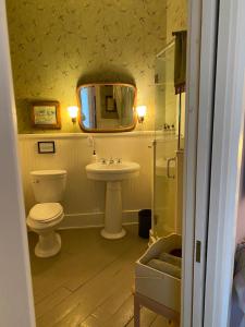 a bathroom with a sink and a toilet and a mirror at Black Sheep Inn in Hammondsport +24 photos