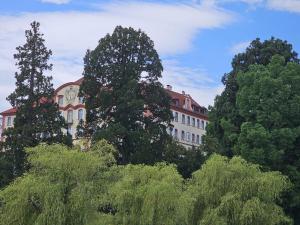 a building with a bunch of trees in front of it at Ferienwohnung Lissner in Salem