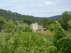 a house in the middle of a field at Le gîte petit-conil in Correns
