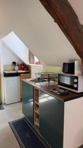 a kitchen with a counter top with a microwave at Le Cœur de Saint-Aignan in Saint-Aignan +10 photos
