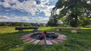a fire pit in a field with two horses in the background at Dom w Gajówce u podnóża Gór Izerskich in Gajowka