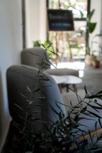 a plant in a room with two chairs and a table at Casa Prana in Tegna