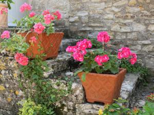 three flowers in orange vases sitting on some stairs at Garden Flat in Pilton +9 photos