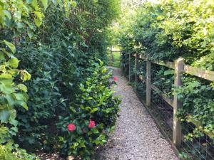 a garden with pink roses and a fence at Fig Tree Shepherds Hut in Bridport