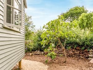 a house with a window next to a garden at Fig Tree Shepherds Hut in Bridport +11 photos