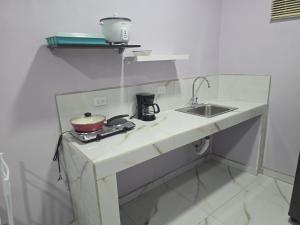 a kitchen counter with a sink and a pot on it at Apartment Torres in Manuel Antonio