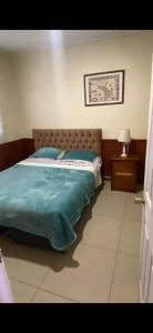 a bedroom with a bed with a blue comforter at Hotel Centro in Copiapó