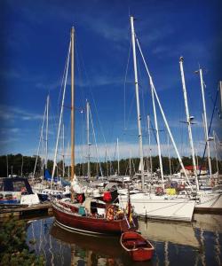 a group of boats docked in a harbor at Willa Aura in Łeba