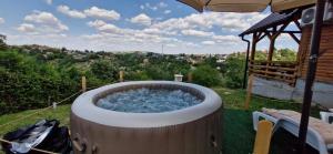 a large tub of water in a yard at Vikendica Monte in Ledinci +29 photos