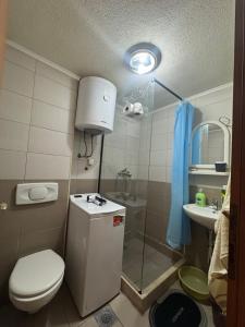 a bathroom with a shower and a toilet and a sink at Astra Apartment in Meljine