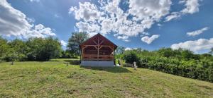 a small building on a grass field with a cloudy sky at Vikendica Monte in Ledinci