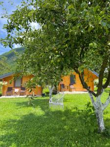 a house with two trees in the yard at Alpet in Vusanje
