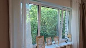 two windows in a room with a view of trees at Border Madise Apartment, Madise tn 8, Apt 7, Narva in Narva +2 photos