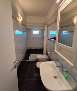 a bathroom with a sink and a toilet at Alpina Sanico in Toscolano Maderno