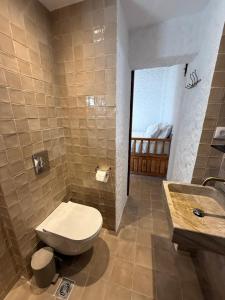a bathroom with a toilet and a sink at Apollino Lindos in Lindos