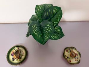 a green plant on a white wall next to a plate at ASA Apartament in Tirana +18 photos