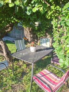 a table with two chairs and a potted plant on it at Apartman Lala in Nova Varoš +8 photos