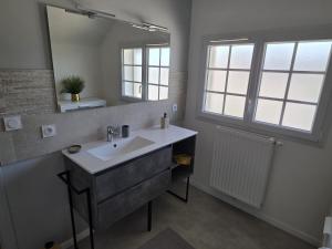 a bathroom with a sink and a mirror at Les Perriers in Chambray-lès-Tours +17 photos